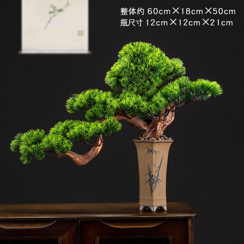 Bonsai Simulation