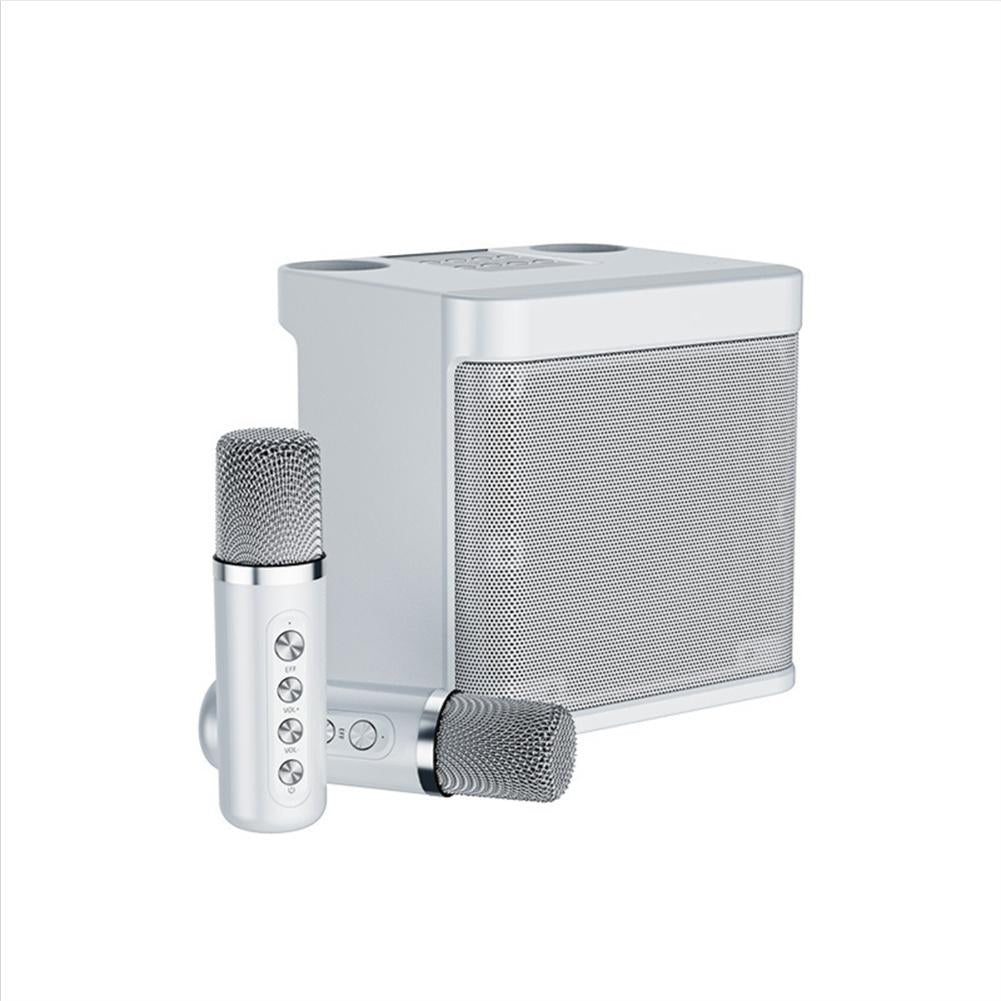 HM99 Portable Professional Karaoke