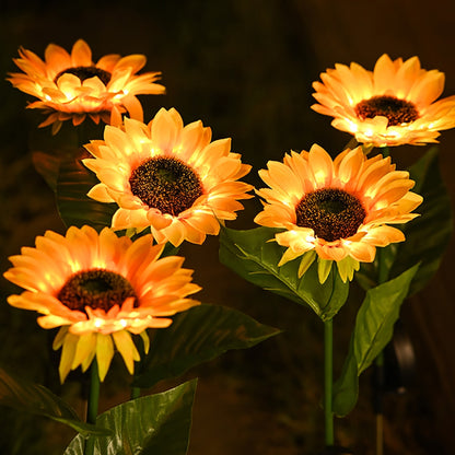 Solar Sunflowers