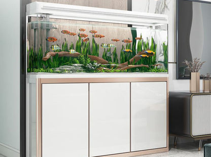 Fish Tank Aquarium