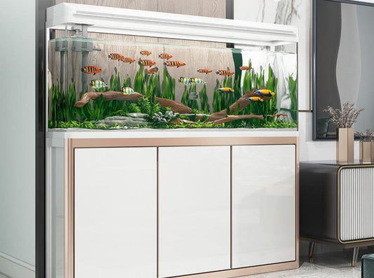 Fish Tank Aquarium