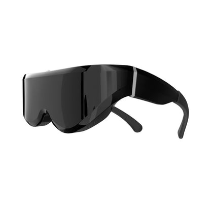 Portable Video Glasses