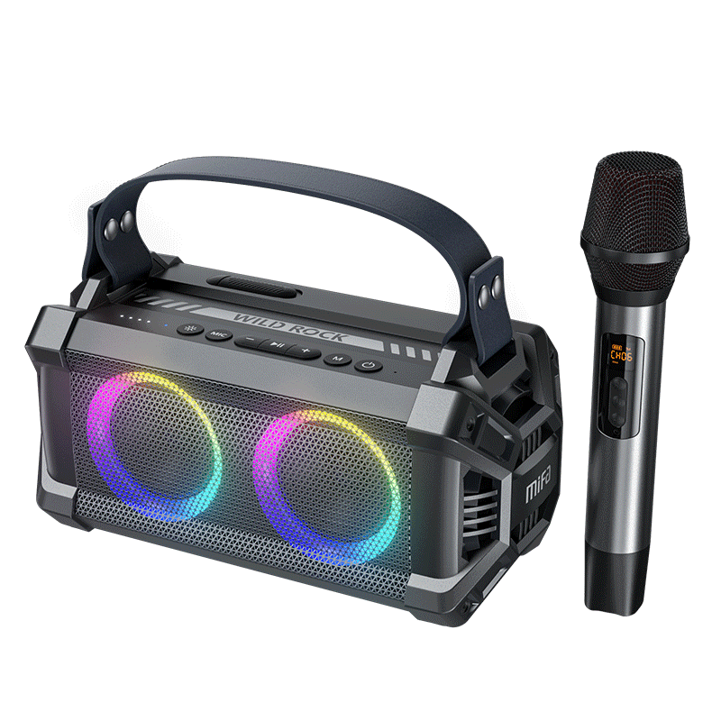 WildRock Portable Karaoke Party Speaker