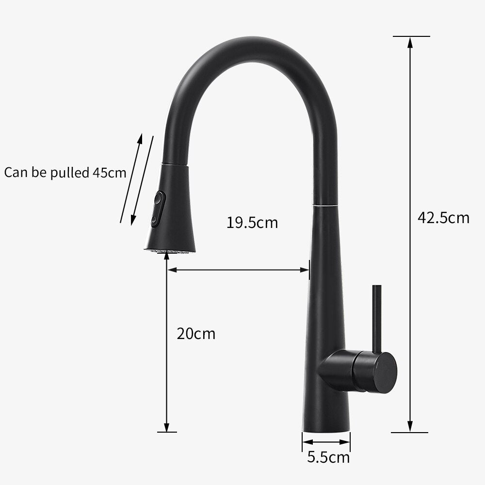 Purify Kitchen Faucet