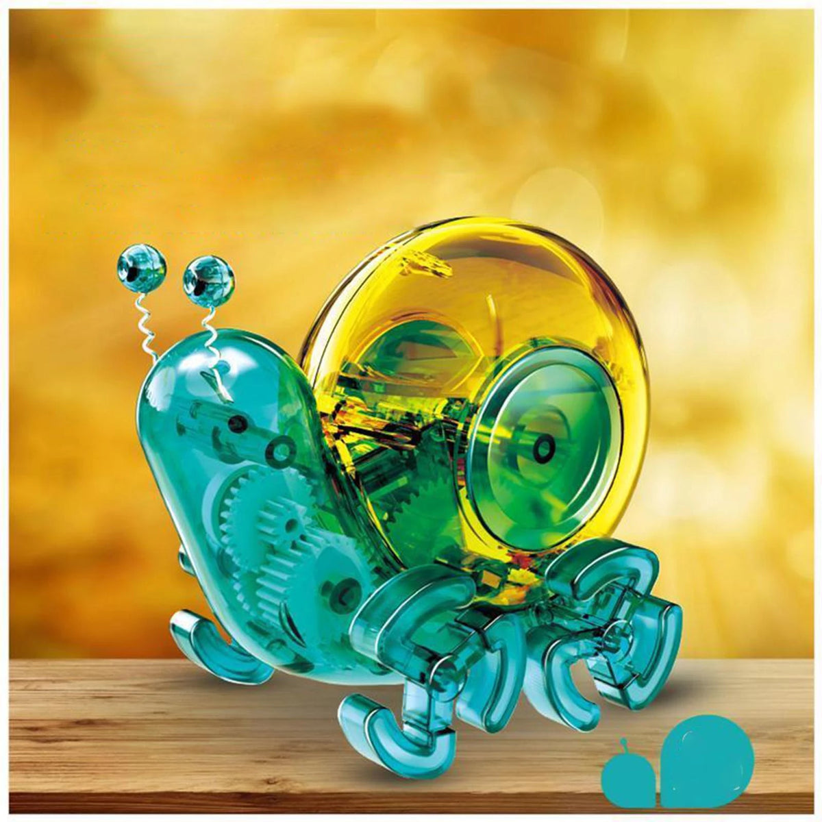 Snail Shell Robot DIY Solar Snail Power Robot – Merlin Digital and Group