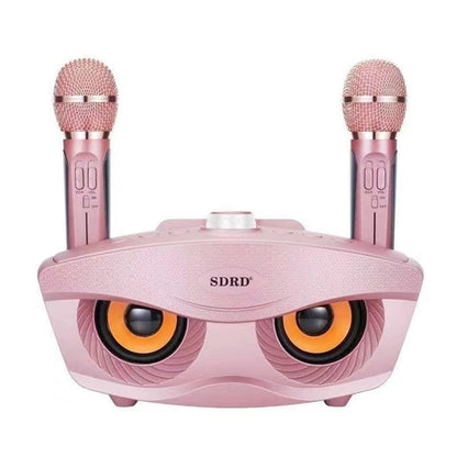 En gros SD306 20W Bass Sound Famille KTV 2 EN 1 Portable Karaoké BT Haut-Parleur Sans Fil Avec Double Microphone De Poche Hibou Haut-parleurs