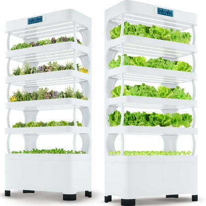 Hydroponics Growing System