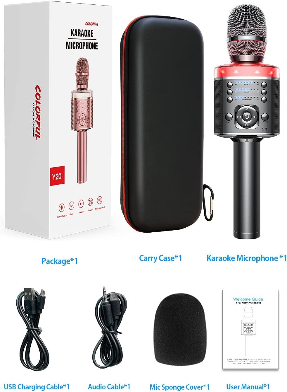 Wireless Karaoke Microphone v2