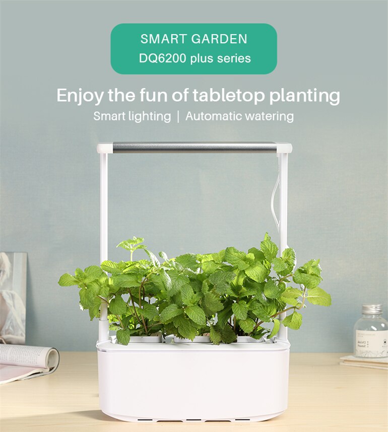 outdoor hydroponic growing systems