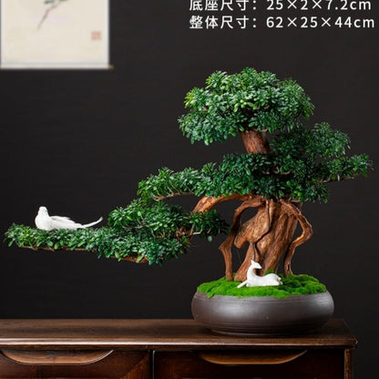 Bonsai Simulation