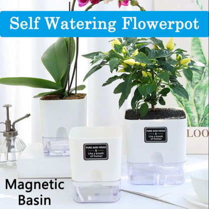 Rectangular Self Watering Flowerpot