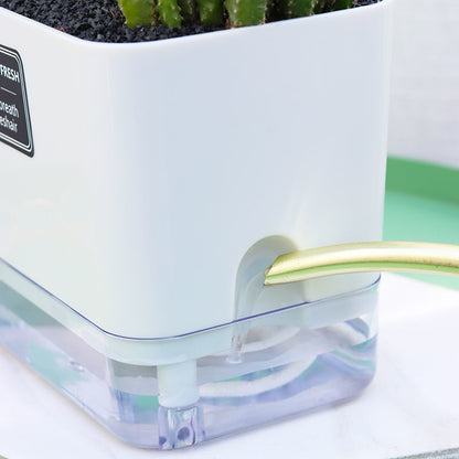 Rectangular Self Watering Flowerpot