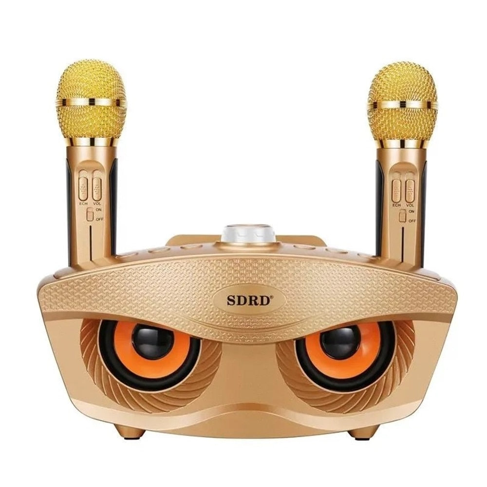 En gros SD306 20W Bass Sound Famille KTV 2 EN 1 Portable Karaoké BT Haut-Parleur Sans Fil Avec Double Microphone De Poche Hibou Haut-parleurs