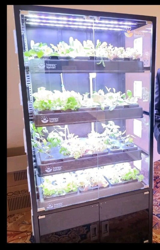 Aquaponic home/office or @restaurant planter