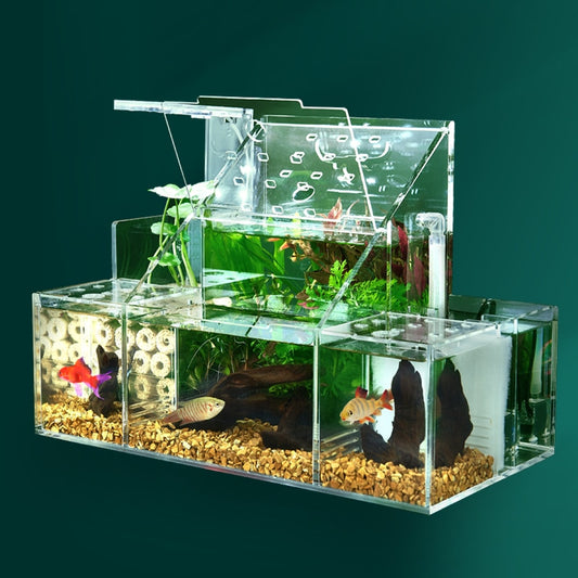 Aquarium Fish Tank

led