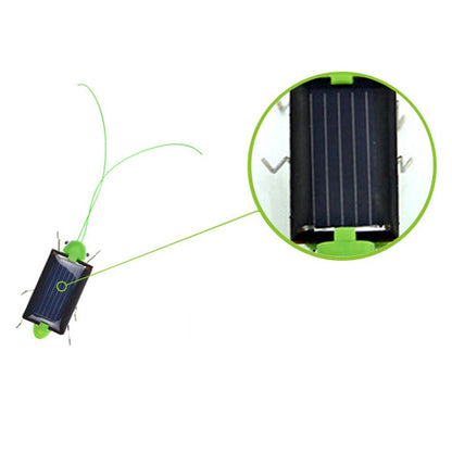 Solar Grasshopper 2022