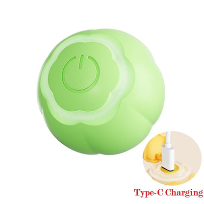 Smart Cat Ball Toy