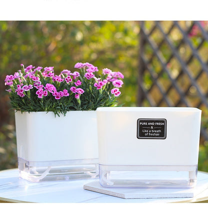 Rectangular Self Watering Flowerpot