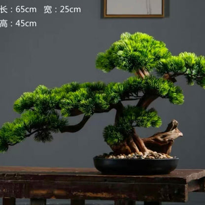 Bonsai Simulation