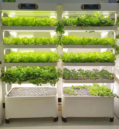 Hydroponics Growing System