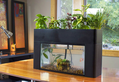 Aquaponic home/office or @restaurant planter