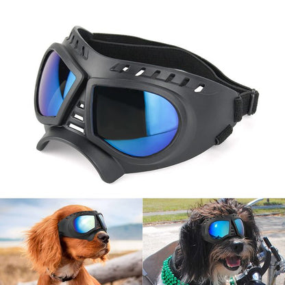 Lunettes pour chiots à monture souple