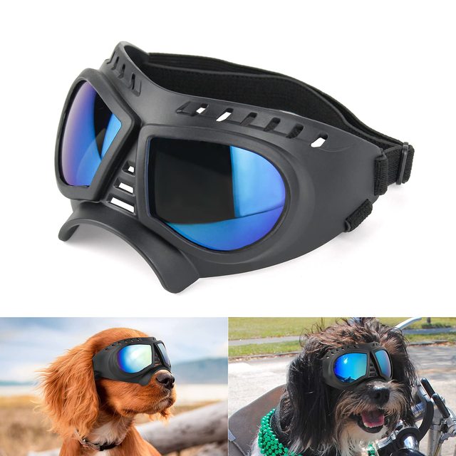 Lunettes pour chiots à monture souple