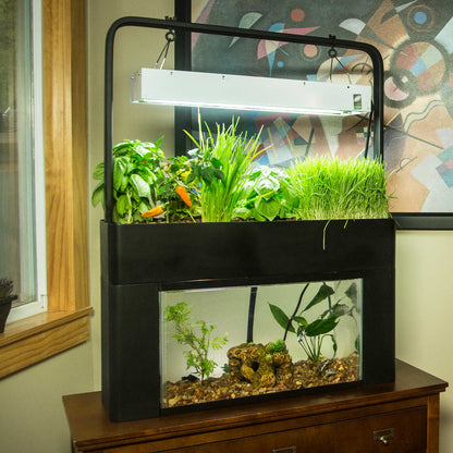 Aquaponic home/office or @restaurant planter