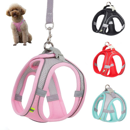 Ensemble de laisse de harnais de chien pour petits chiens